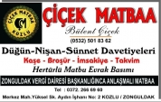 Çiçek Matbaası